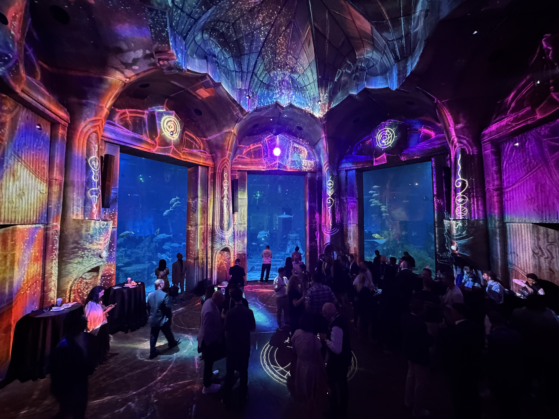 Featured image for Lost World Aquarium – Case Study